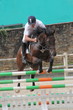 concours de saut d'obstacles.