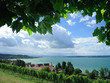 Foto: Bei Birnau am Bodensee Bei Birnau am Bodensee