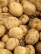 Fresh Vegetables