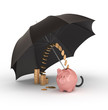 Piggy bank under umbrella.