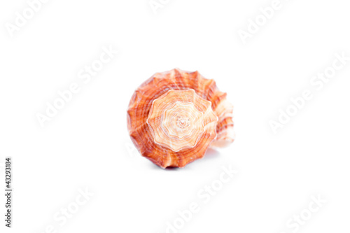 Photo: One shellfish One shellfish