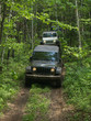 Photo: JEEP SUR CHEMIN EN FORÊT JEEP SUR CHEMIN EN FORÊT