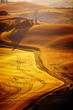 typical Tuscany landscape, Italy