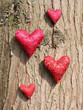 Liebe zur Natur