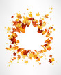 Vektor: Maple leaves background Maple leaves background