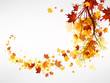 Vector: Branch with maple leaves Branch with maple leaves