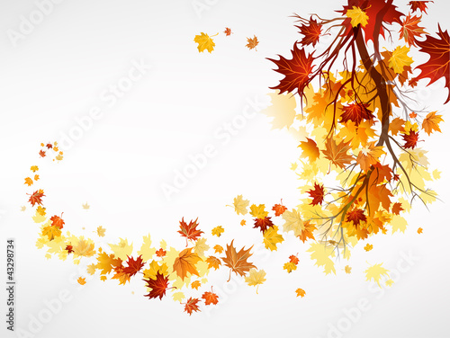 Vector: Branch with maple leaves Branch with maple leaves