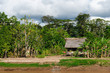 Peruvian Amazonas, Indian settlement