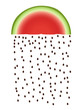 pasteque pluie