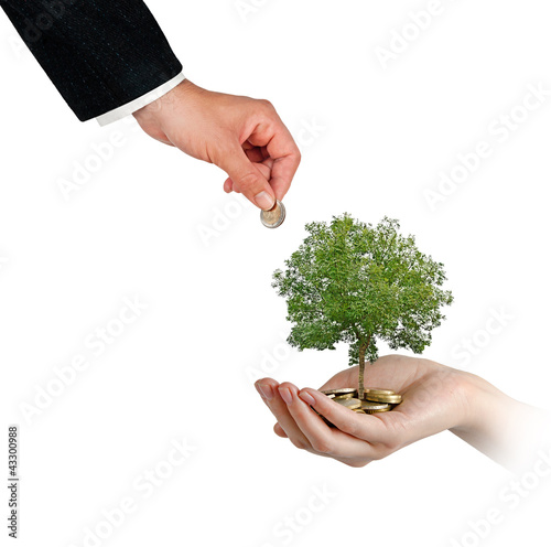 Photo: Palm with a tree growng from pile of coins Palm with a tree growng from pile of coins