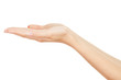 Empty Human Hands(Beauty Woman hands) on isolated white