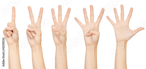 Photo: Hand make number collection Hand make number collection