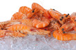 Scampi