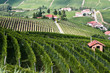 Photo: Vineyards on the hills in Piedmont province in Italy Vineyards on the hills in Piedmont province in Italy