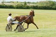 Course hippique #34
