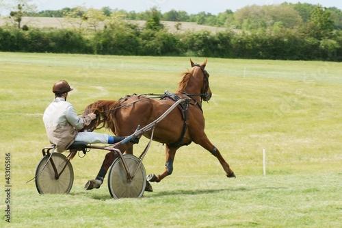 Photo: Course hippique #34 Course hippique #34