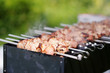 Juicy slices of meat with sauce prepare on fire (shish kebab)