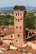 Lucca