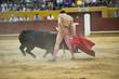 Torero toreando en una corrida típica española.