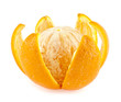 oranges on a blue background