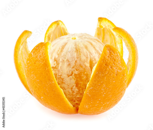 Photo: oranges on a blue background oranges on a blue background
