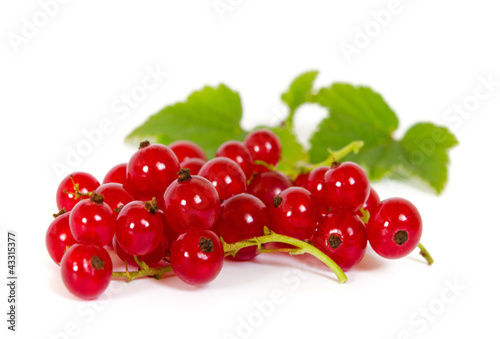 Photo: rote Johannisbeeren rote Johannisbeeren