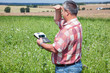 Agricultural engineer at the field inspection