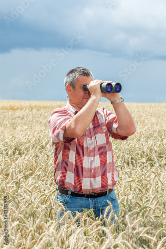 Photo: Man with binoculars in cornfield Man with binoculars in cornfield