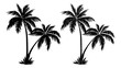 Palm trees, black silhouettes