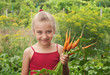 Photo: young girl young girl
