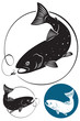 trout fish