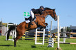 Foto: Show jumping with brown horse in England Show jumping with brown horse in England