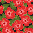 Vector seamless tropical pattern