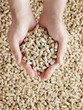 Photo: Wood pellets Wood pellets