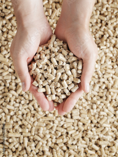Photo: Wood pellets Wood pellets