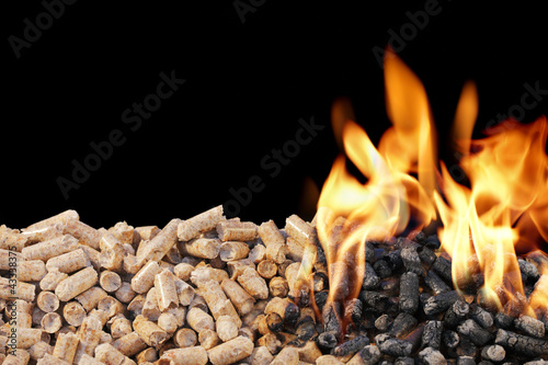 Photo: Wood Pellets Wood Pellets