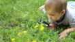 Video: Little boy with a magnifying loupe looking at flowers Little boy with a magnifying loupe looking at flowers