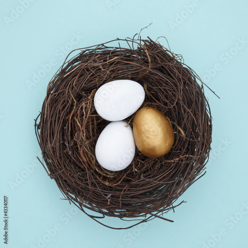 Photo: Eggs and one golden egg in nest Eggs and one golden egg in nest