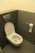 Toilet in shades of grey