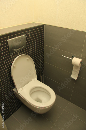 Photo: Toilet in shades of grey Toilet in shades of grey