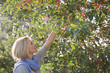 Caucasian woman in orchard