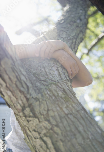 Photo: Hispanic girl climbing tree Hispanic girl climbing tree