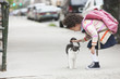 Mixed race girl petting cat on sidewalk