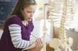 Caucasian girl studying skeleton in classroom