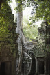 Ruins in Ta Prohm temple