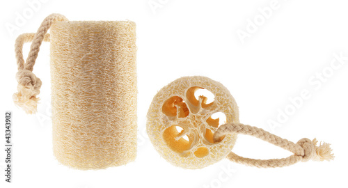 Photo: Loofah Loofah