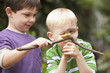 Caucasian boy looking at caterpillar on stick