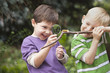 Caucasian boy looking at caterpillar on stick