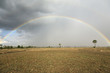 Rainbow over field