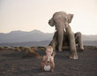 elephant sitting in desert with baby